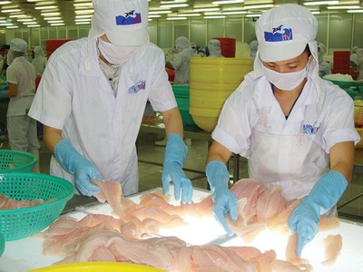 Lỗ nặng hai năm liên tiếp, HVG phải nỗ lực rất nhiều mới mong đưa cổ phiếu ra khỏi diện kiểm soát