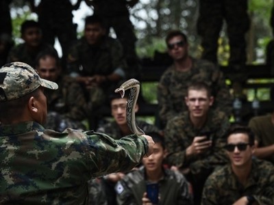 Lính Mỹ, Thái Lan uống máu rắn, ăn bọ cạp