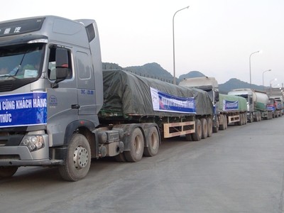 Những chuyến xe đưa xi măng Bỉm Sơn tới các công trình xây dựng.