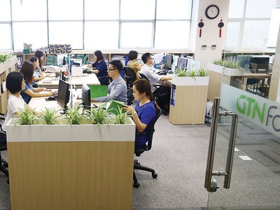 Giải mã đà giảm mạnh của cổ phiếu GTN