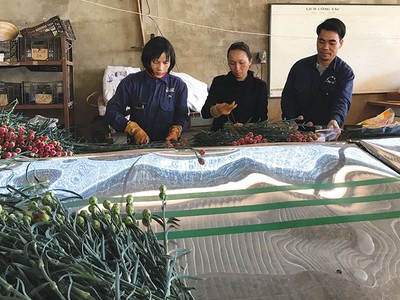 Hỗ trợ các “đầu tàu” nông nghiệp sạch, ứng dụng công nghệ cao