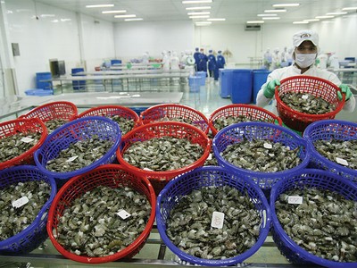 Thủy sản được xem là một trong những ngành hưởng lợi nhiều nhất từ CPTPP