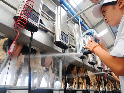 Vinamilk chi trả tổng cộng 50% cổ tức bằng tiền mặt cho năm 2017 