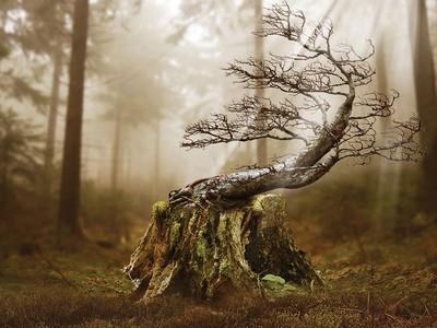 Sự khác biệt giữa phong thủy Việt và các nước (phần 2)