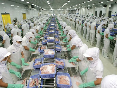 Biên lợi nhuận của các doanh nghiệp xuất khẩu thủy sản sang Trung Quốc dự báo sẽ tăng trưởng tích cực nửa cuối năm