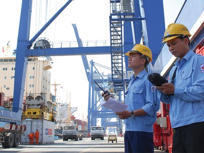 Doanh nghiệp cảng biển phân hóa hiệu quả vì sao?