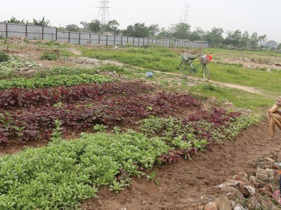 Hiện chưa có hướng dẫn cách xác định giá trị tạo ra từ quyền sử dụng đất, quyền sử dụng đất thuê, lợi thế vị trí địa lý… khi định giá đất để thoái vốn nhà nước