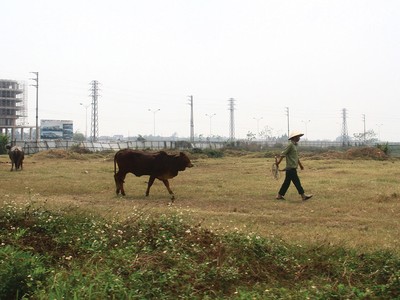 Gỡ vướng một số quy định về đất đai