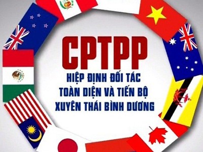 Các Luật được sửa đổi gồm có: Luật An toàn thực phẩm 2010; Luật Kinh doanh bảo hiểm năm 2000 và Luật sửa đổi, bổ sung một số điều của Luật Kinh doanh bảo hiểm 2010; và Luật Sở hữu trí tuệ 2005 (đối với những cam kết phải thực hiện ngay khi Hiệp định có hiệu lực)