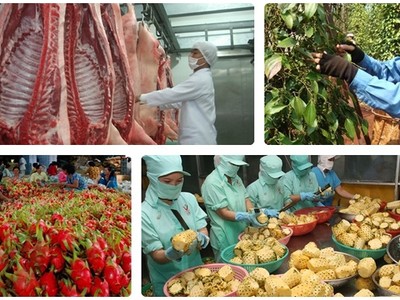 Dịch tả lợn châu Phi, biến đổi khí hậu, nhất là tình trạng xâm nhập mặn ở ĐBSCL, hạn hán một số nơi ở các tỉnh Tây Nguyên... là những khó khăn thách thức lớn đối với ngành nông nghiệp 2019. 