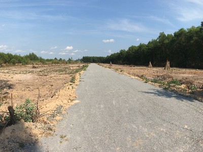 Tình trạng phân lô đất nền đang có chiều hướng gia tăng và phức tạp