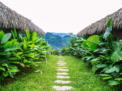 Pù Luông - Mùa lúa chín