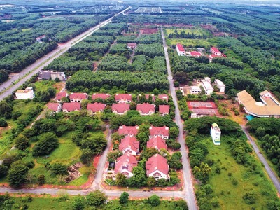 Nhiều khu đất rừng, rẫy tại các tỉnh phía Nam bỗng chốc được giới đầu tư săn lùng, đẩy giá lên cao 