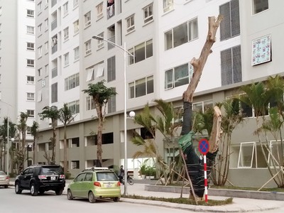 Nhà ở xanh giá rẻ, bài toán khó lại thêm biến số