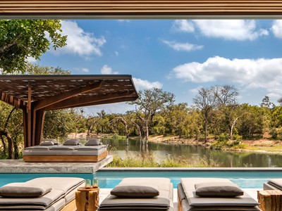 Cheetah Plains: Vẻ đẹp của sự đối lập