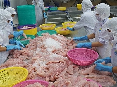 Nửa đầu năm nay, Bỉ là thị trường xuất khẩu tăng trưởng khá ổn định của cá tra Việt Nam. 