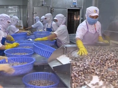 Với việc mở cửa thêm 03 loại thủy sản, đã có 48 loài thủy sản các loại của Việt Nam được Trung Quốc cập nhật vào Danh mục các sản phẩm thủy sản của Việt Nam được phép xuất khẩu vào Trung Quốc để làm thực phẩm.