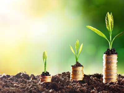 Tín dụng xanh cho tương lai vững bền: Kinh nghiệm và hỗ trợ của GIZ về thúc đẩy tín dụng xanh ở Việt Nam