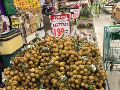 Với kim ngạch xuất khẩu đạt 3,765 tỷ USD, dù thấp hơn so với mức thực hiện của 2018, nhưng ngành rau quả vẫn xuất siêu gần 2 tỷ USD.