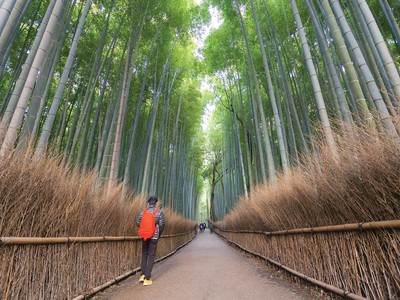 Hiểu đúng về phong thủy
