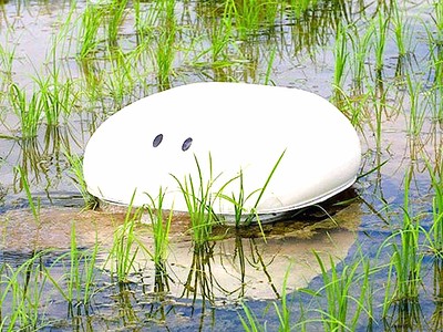 Robot “vịt” giúp nông dân Nhật diệt cỏ mà không cần dùng tới hóa chất
