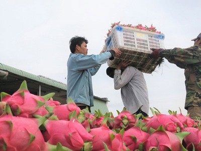 Quả thanh long và cá ba sa có thể đổ bộ vào Ấn Độ thời gian tới. (ảnh minh họa)