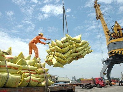 Ủy ban Kinh tế kiến nghị xử lý trách nhiệm trong tham mưu xuất khẩu gạo