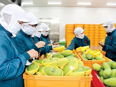 Dù tình trạng thông quan vẫn còn gặp nhiều khó khăn, nhưng Trung Quốc vẫn là thị trường chiếm thị phần lớn nhất, với kim ngạch xuất khẩu đạt gần 2,8 tỷ USD, giảm 17,7% so với cùng kỳ và chiếm 23,4% thị phần.