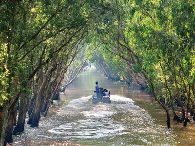 Có nên bỏ phố về rừng?