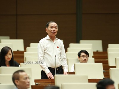 Đại biểu Lê Thanh Vân phát biểu tại Quốc hội.