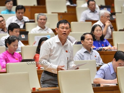 Đại biểu Nguyễn Ngọc Phương (Quảng Bình) phát biểu sáng 13/6. 