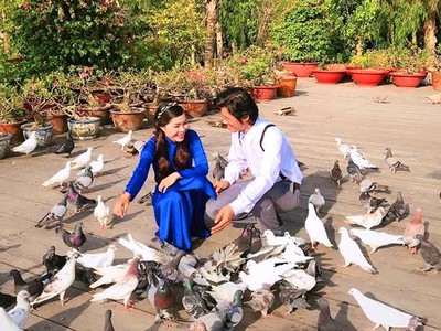 Hàng trăm chú chim bồ câu thân thiện vây quanh du khách.