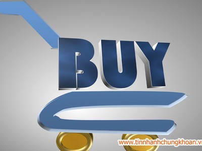 Khối ngoại mua ròng nhẹ trong phiên đầu năm