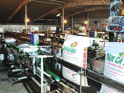 2018, DCM đặt kế hoạch lợi nhuận trước thuế 683 tỷ đồng