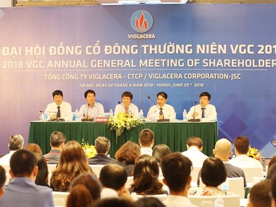 ĐHCĐ Viglacera: Cạnh tranh vật liệu xây dựng ngoài dự đoán