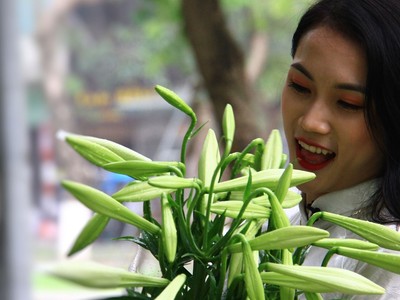 Tháng tư, loa kèn trắng tinh khôi. Ảnh: Thành Nguyễn.