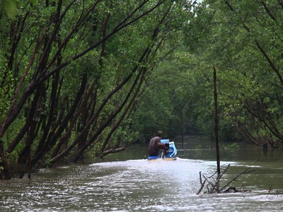 Ảnh: Thành Nguyễn.