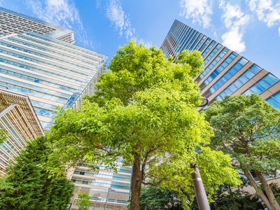 Ảnh: Shutterstock.