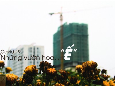 Ảnh: Thành Nguyễn.