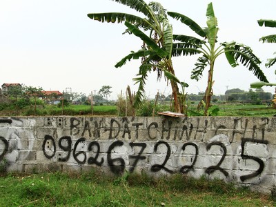 Rao bán đất nền ở Hòa Lạc. Ảnh: Thành Nguyễn.