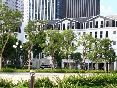 Nhà liền thổ được tìm kiếm nhiều trong quý 1/2022. Ảnh: Thành Nguyễn.