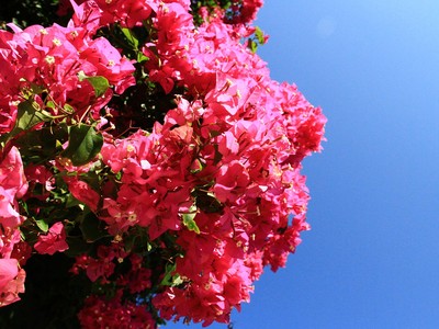 Ảnh: Thành Nguyễn.