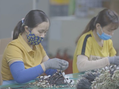 Việt Nam đang chịu nhiều áp lực cạnh tranh trong thu hút đầu tư nước ngoài. Ảnh: Thành Nguyễn.