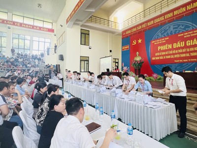 Giá đất tại Thanh Oai tăng cao bất thường qua phiên đấu giá gây ngạc nhiên cho nhiều người. Ảnh: Internet.