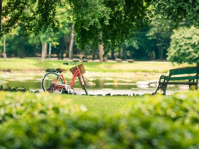 Ảnh: Shutterstock.