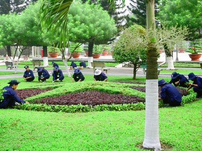 Sonaenco (SZE): Lợi nhuận năm 2017 sụt giảm mạnh