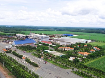 SBT tăng cường hỗ trợ người dân trồng mía, tiếp tục duy trì vị thế trong rổ VN30 