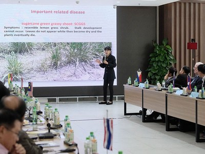 Giá đường sẽ gia tăng trong niên vụ 2019-2020 do thâm hụt sau thặng dư