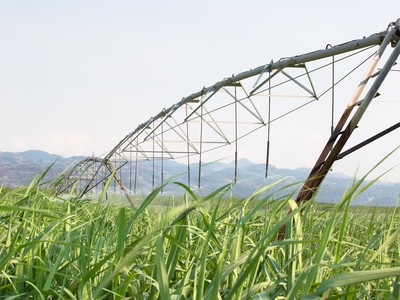 DEG rót gần 650 tỷ đồng vào mía đường Thành Thành Công - Biên Hòa (SBT)