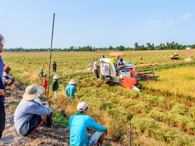 Tháo gỡ khó khăn về vốn cho doanh nghiệp vùng Đồng bằng sông Cửu Long